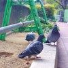 見つかるっっ！？