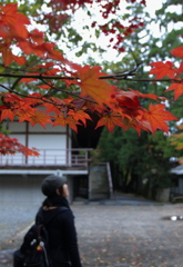 秋を探して