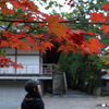 秋を探して