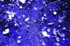 R0012879