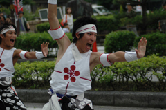 彦根よさこいソーラン　躍動