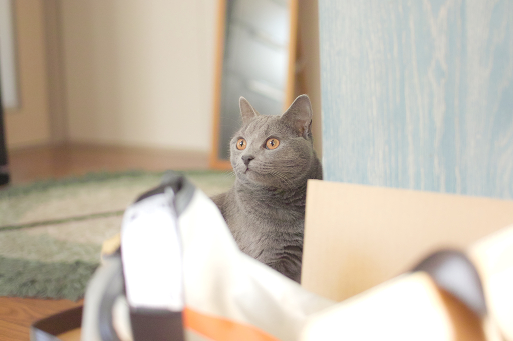 何かに気づいたみたい