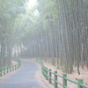 竹道