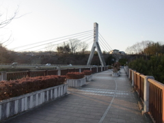 あの花