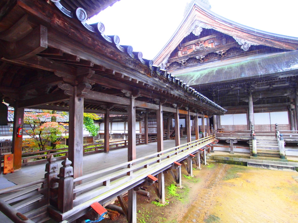 井波別院 瑞泉寺 本堂と太子堂を結ぶ渡り廊下