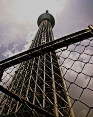 _IGP3272