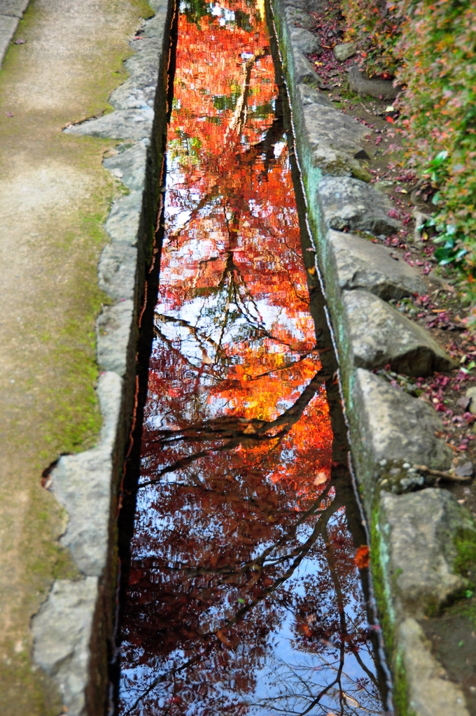 下も向いて歩こう