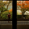 三千院の秋