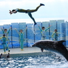 飛んだ！！