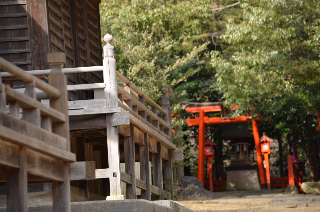 鳥居までもうすこし
