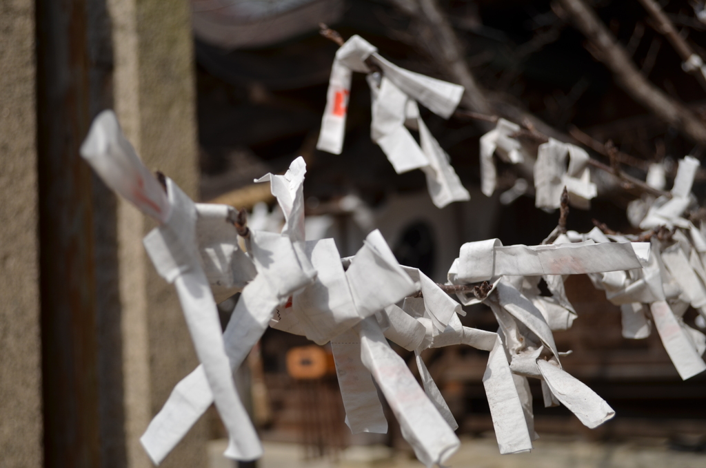 ねがいごとがたくさん