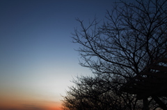 紺青