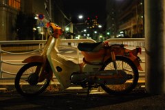 DSC_7178