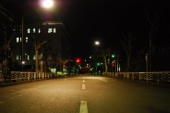 DSC_7173