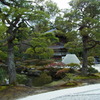 RIMG0279