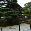 RIMG0268