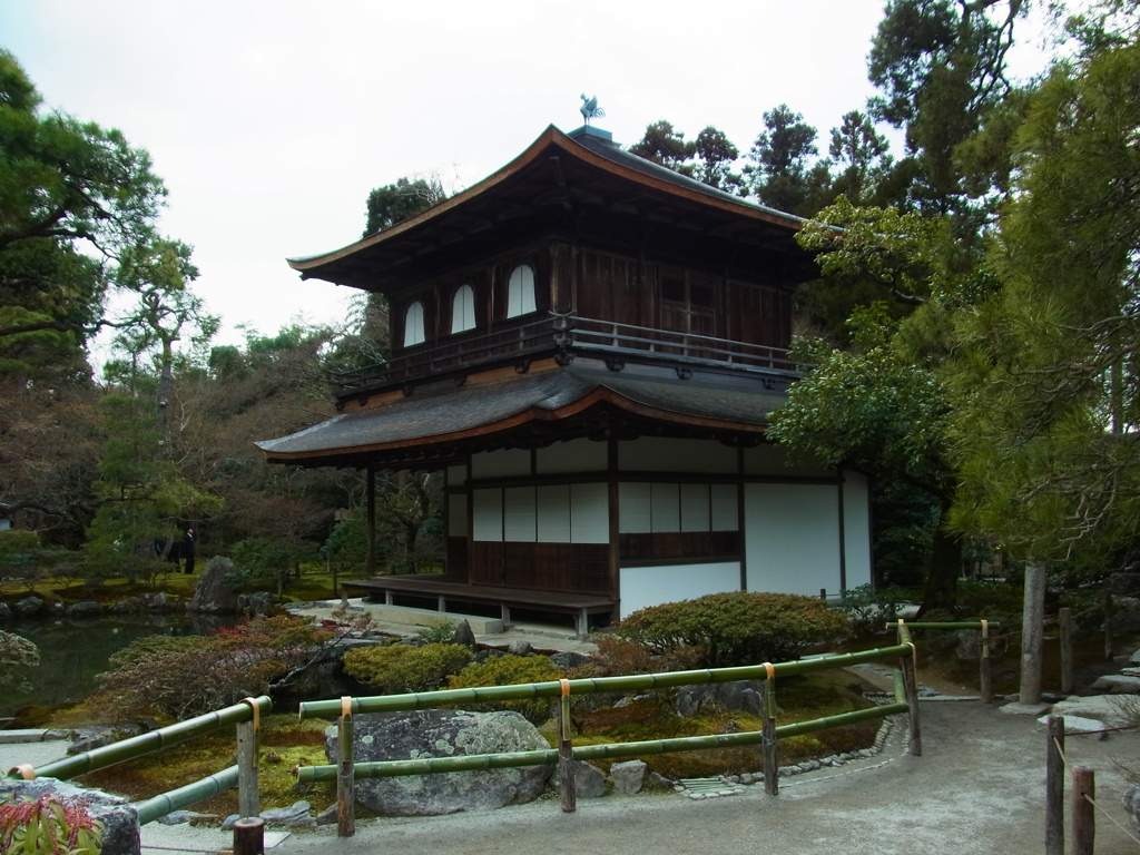 RIMG0272