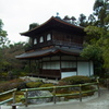 RIMG0272