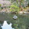 RIMG0281