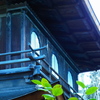 RIMG0297