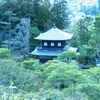 RIMG0290