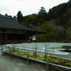 RIMG0271
