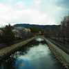 RIMG0259