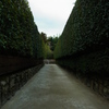 RIMG0266