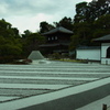 RIMG0275