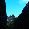 RIMG0298