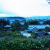 RIMG0291