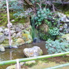 RIMG0285