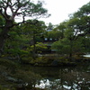 RIMG0282