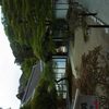 RIMG0269