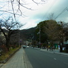 RIMG0261