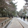 IMG_0011