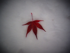 あか。