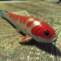 鯉か金魚か