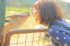 KISS
