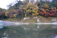 紅葉２