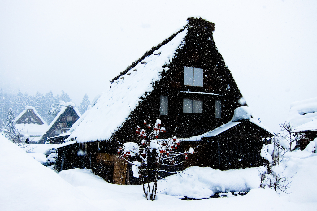 雪の白川郷