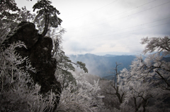 霧氷の中を歩く