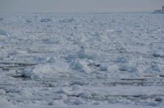 海を埋め尽くす流氷！
