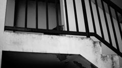 我、問う。