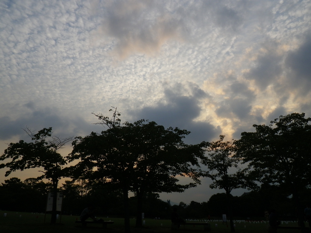 IMGP0505