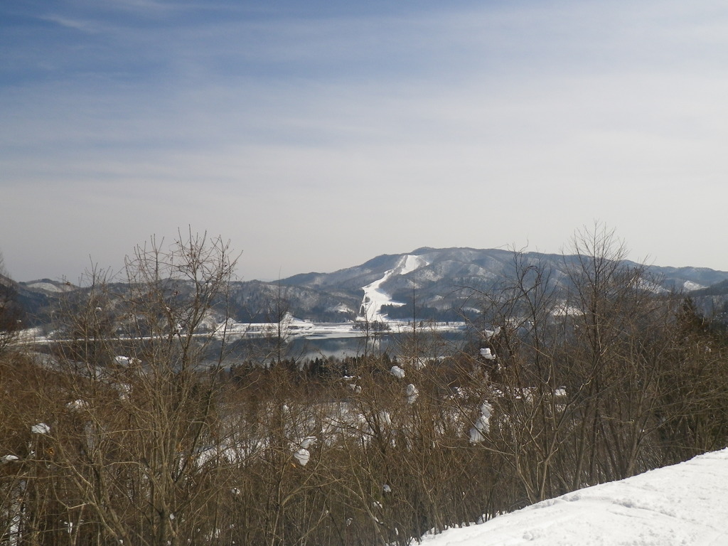 IMGP0038