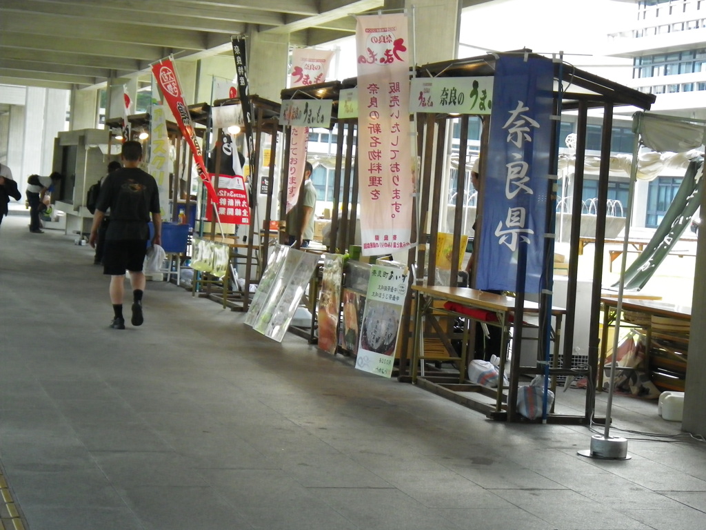 IMGP0499