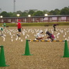 IMGP0695