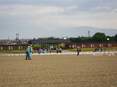 IMGP0592