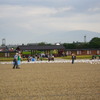 IMGP0592